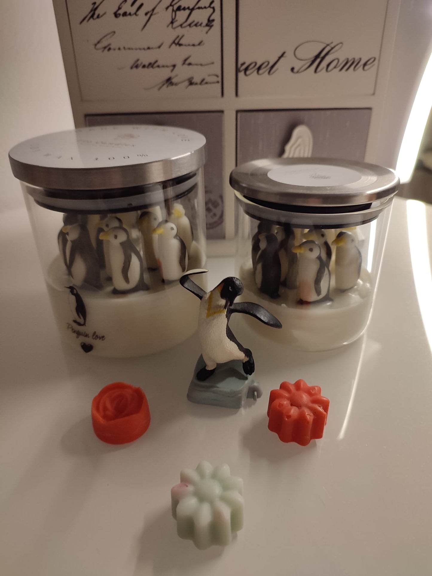 Vela pingüino 🐧