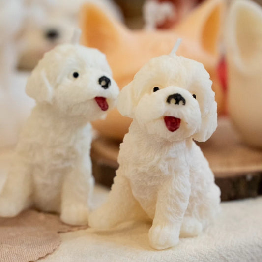Bichón mini