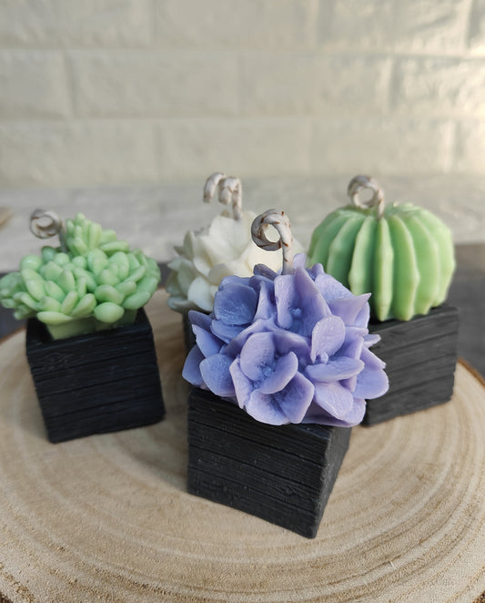 Vela maceta cactus y floral