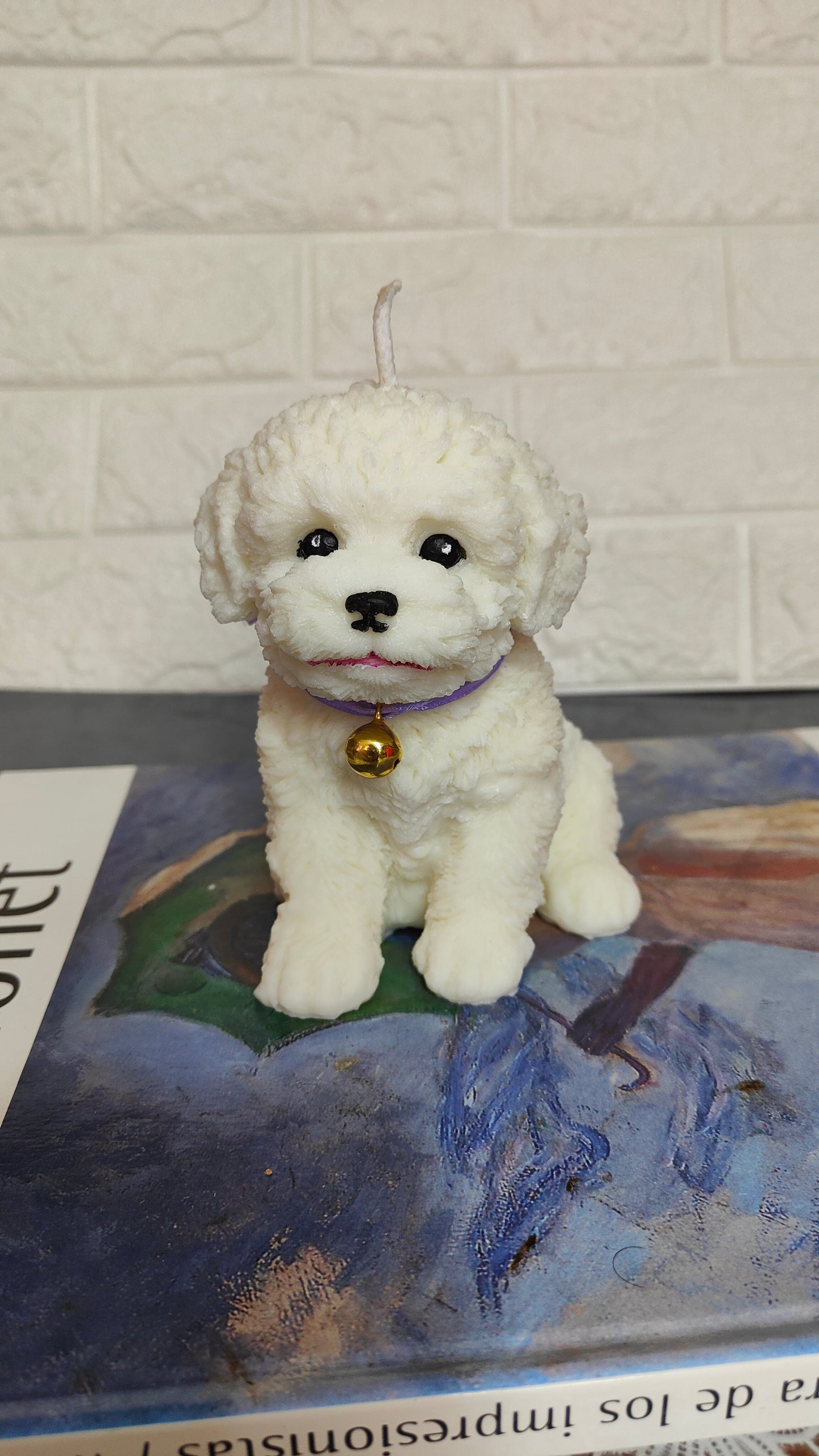 Bichón personalizado