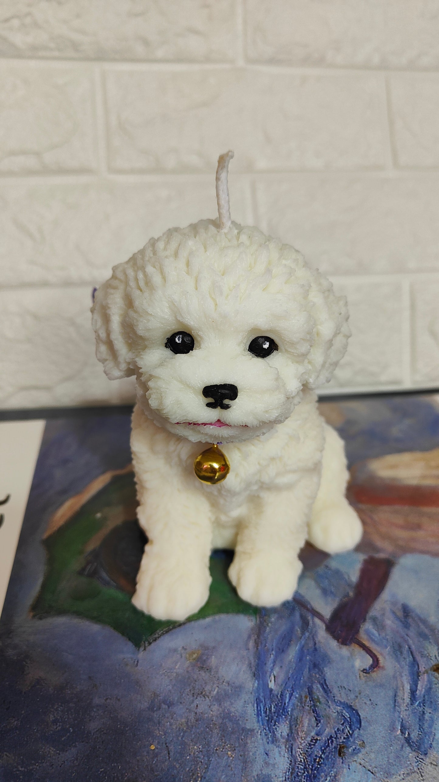 Bichón personalizado