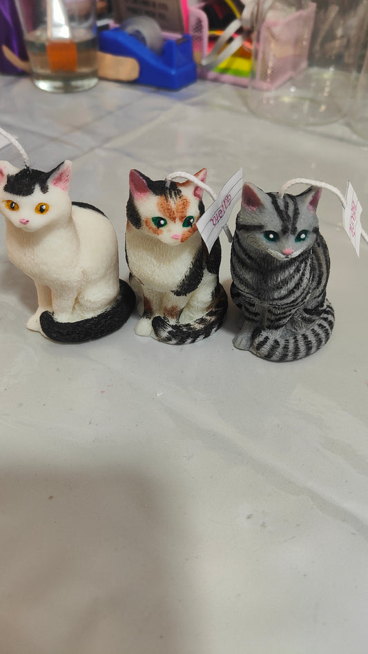 Gatos personalizados