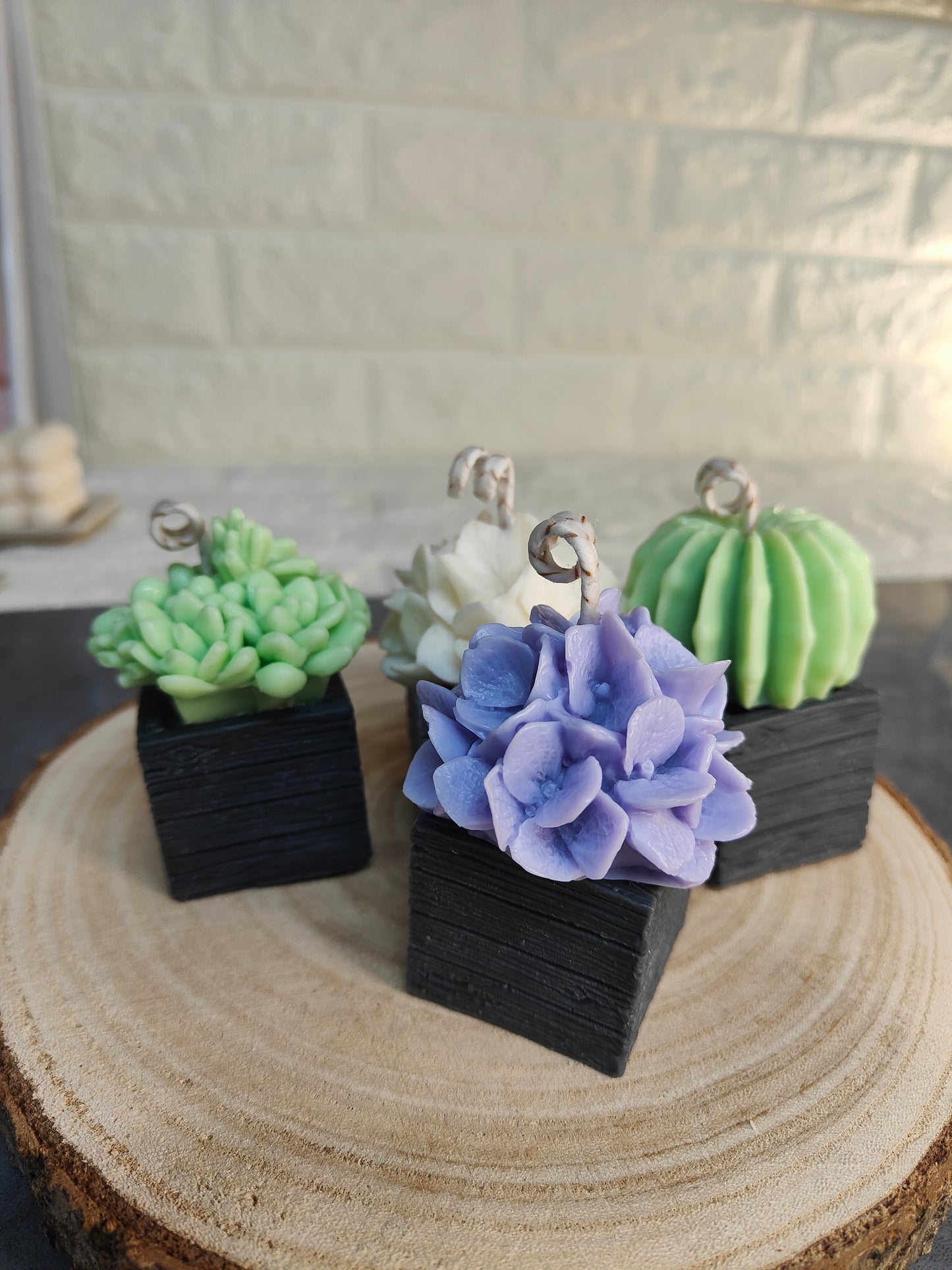 Vela maceta cactus y floral