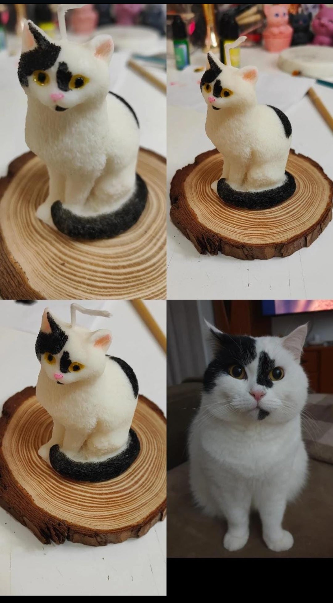 Gato personalizado (sencillo)